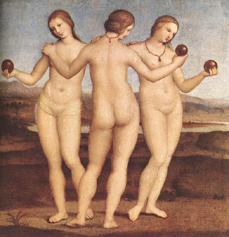 RAFFAELLO Sanzio The Three Graces F